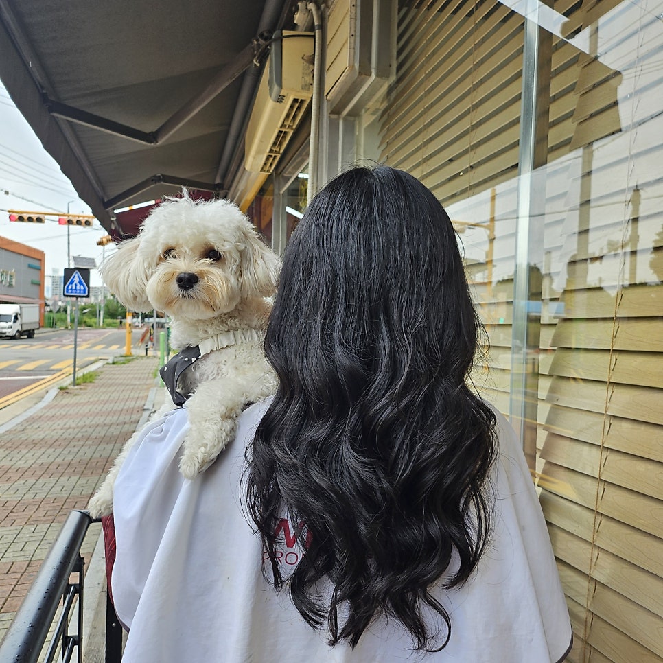 헤어넬 사진 5