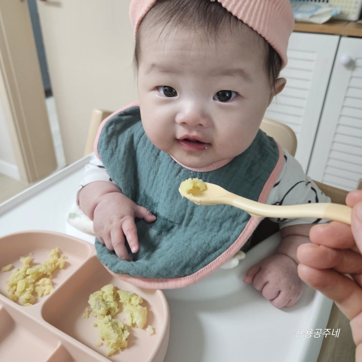  후기 이유식준비물 필수템 모윰이유식 흡착식판 실사용후기