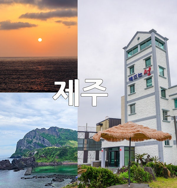 사진 7