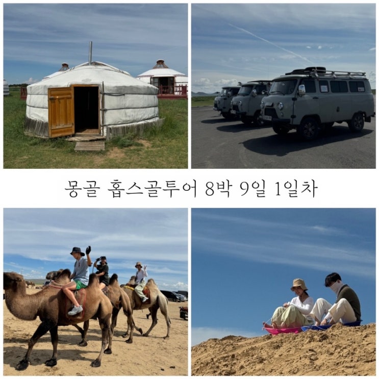  8월 초중순 8박 9일 몽골여행 1일차 몽골공항 입국 낙타타고 모래썰매 탐