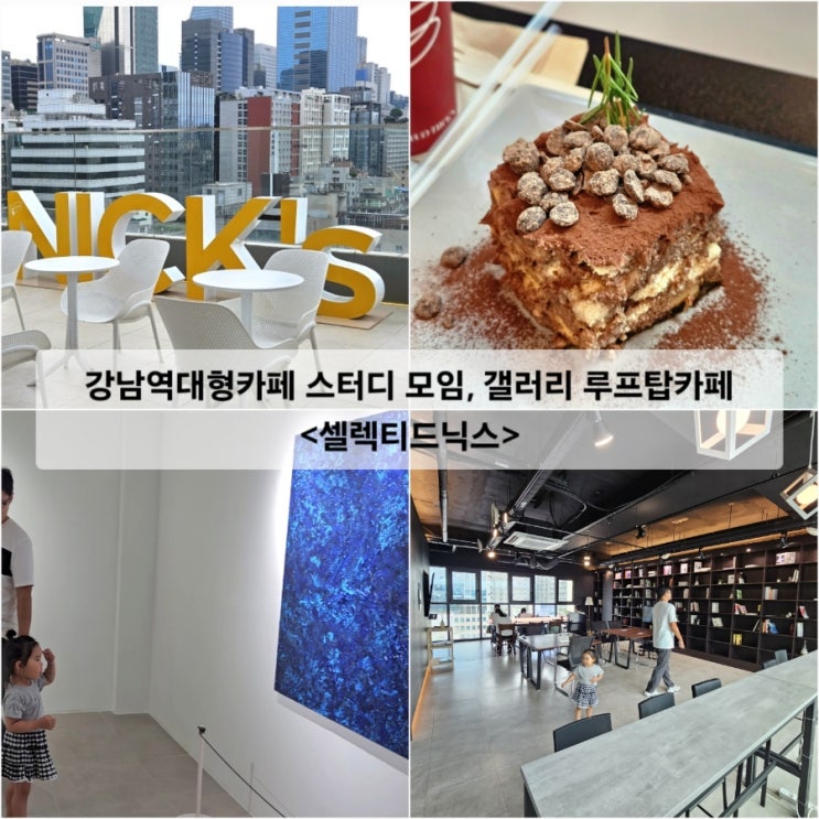  강남역대형카페 스터디 모임, 갤러리 루프탑카페 셀렉티드닉스