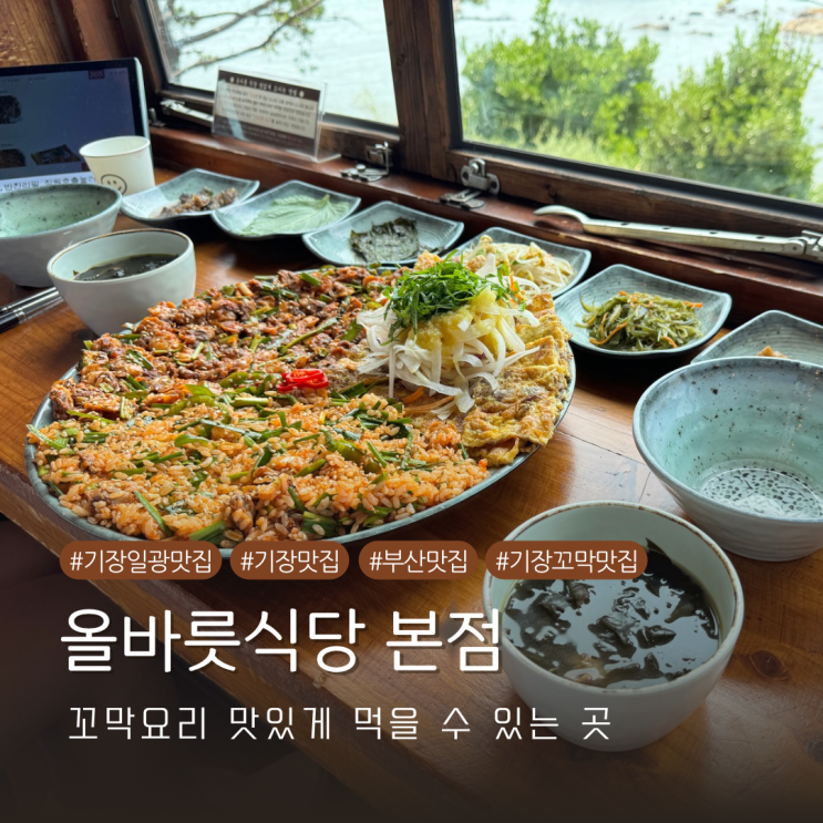  부산 기장 일광 꼬막 맛집 올바릇식당 본점 내돈내산 방문기