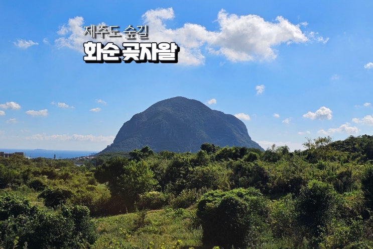  제주 화순 곶자왈 숲 뜻 제주도 숲길 산책 입장료