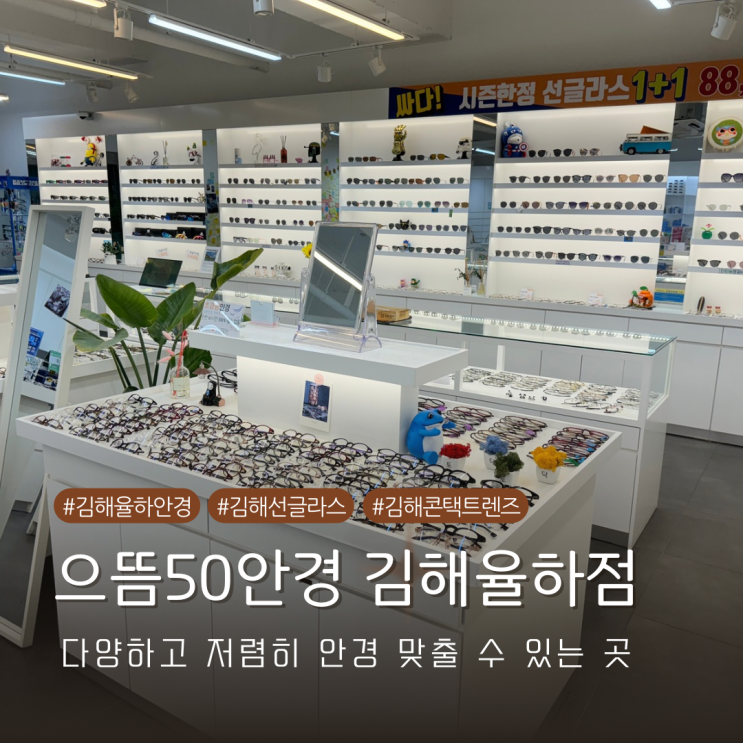  김해 율하안경 종류가 다양하고 합리적인 가격의 으뜸50안경 김해율하점 방문기