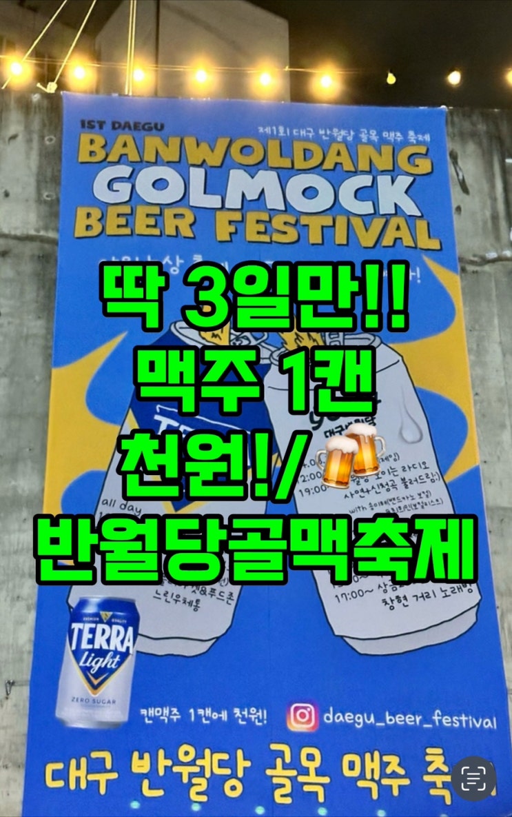  정말 맥주가 천원? 제1회 대구 반월당 골목 맥주 축제
