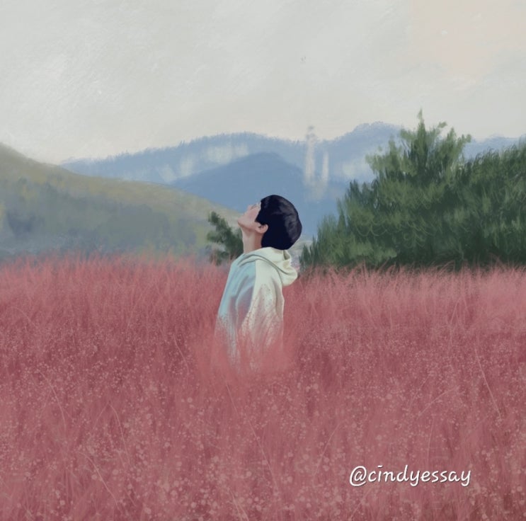  핑크뮬리와 너