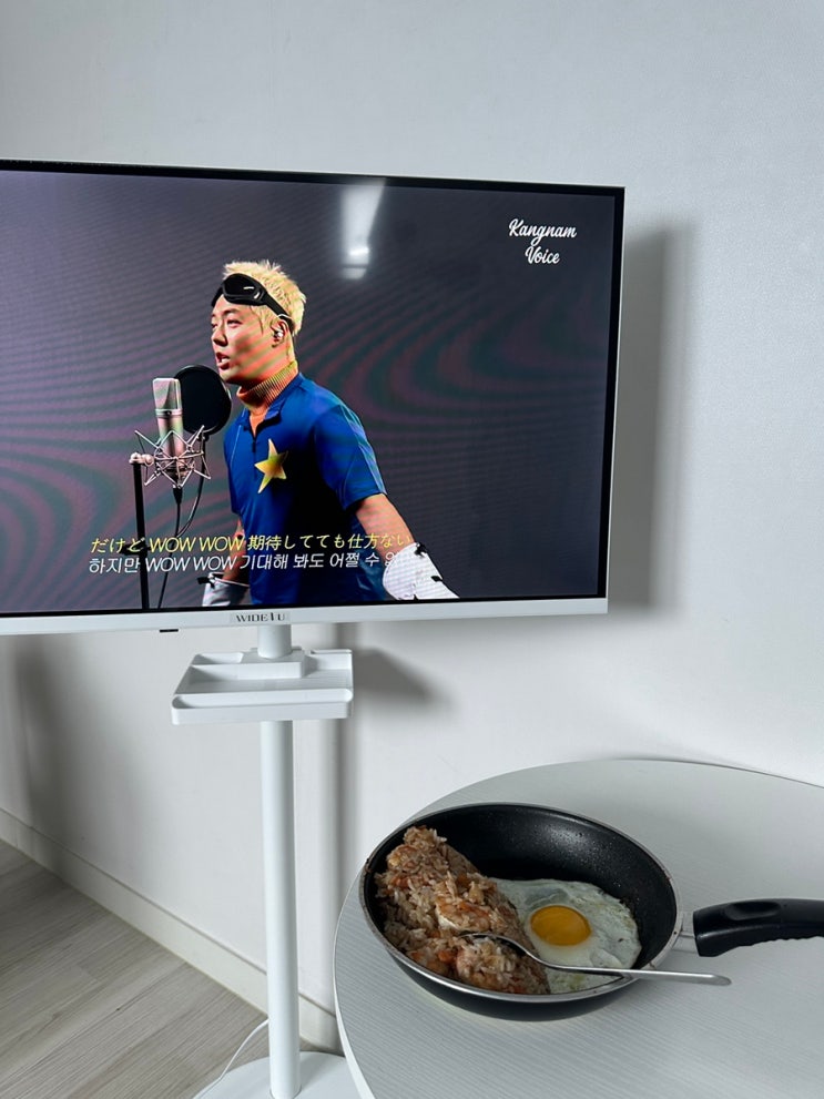  공돈공산 와이드 뷰 삼탠바이미 이동식 TV 사용 후기