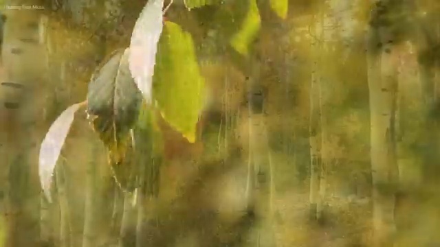  노인통합관리지도자격증 , 온라인으로 손쉽게 노인통합관리지도사자격증 합격한 팁