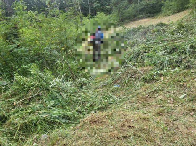  2024년 김천시 남면 봉천리 벌초 고인돌장묘개발 #김천벌초 #선산벌초 #구미벌초 #황간벌초 #영동벌초 #성주벌초 #상주벌초 #벌초대행 #벌초 #추석벌초 #손없는날 #윤달 #벌초