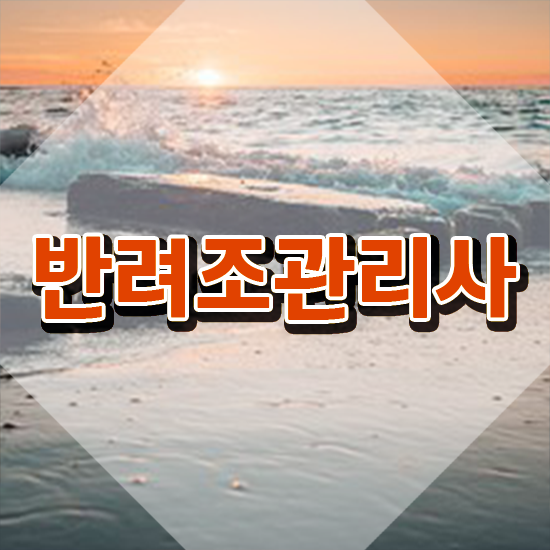  앵무새 말하는 원리 , 반려조관리사 자격증 온라인으로 쉽게 취득했던 후기 보고가세요