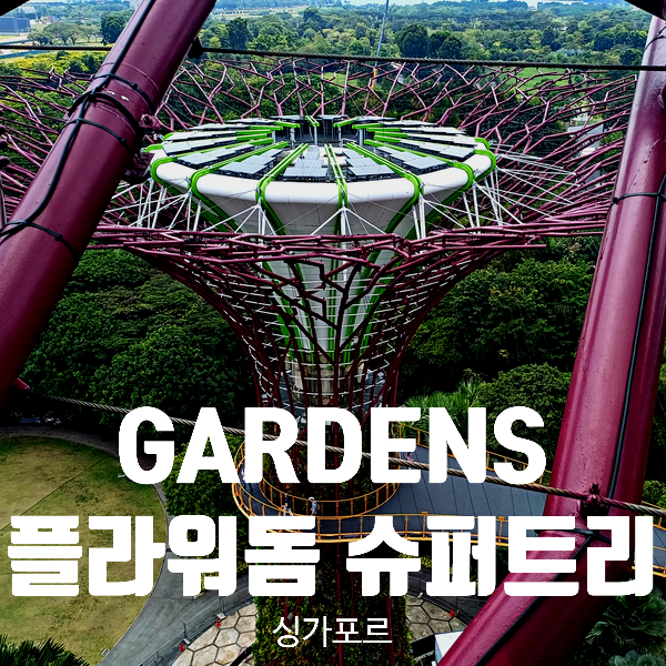  싱가포르 가든스바이더베이. 플라워돔 & 슈퍼트리 전망대 Tip