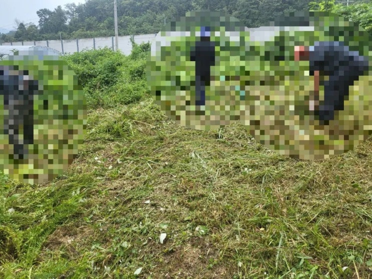  2024년 김천  봉산면 덕천리 벌초대행 고인돌장묘개발 #김천벌초 #선산벌초 #구미벌초 #황간벌초 #영동벌초 #성주벌초 #상주벌초 #벌초대행 #벌초 #추석벌초 #손없는날 #윤달