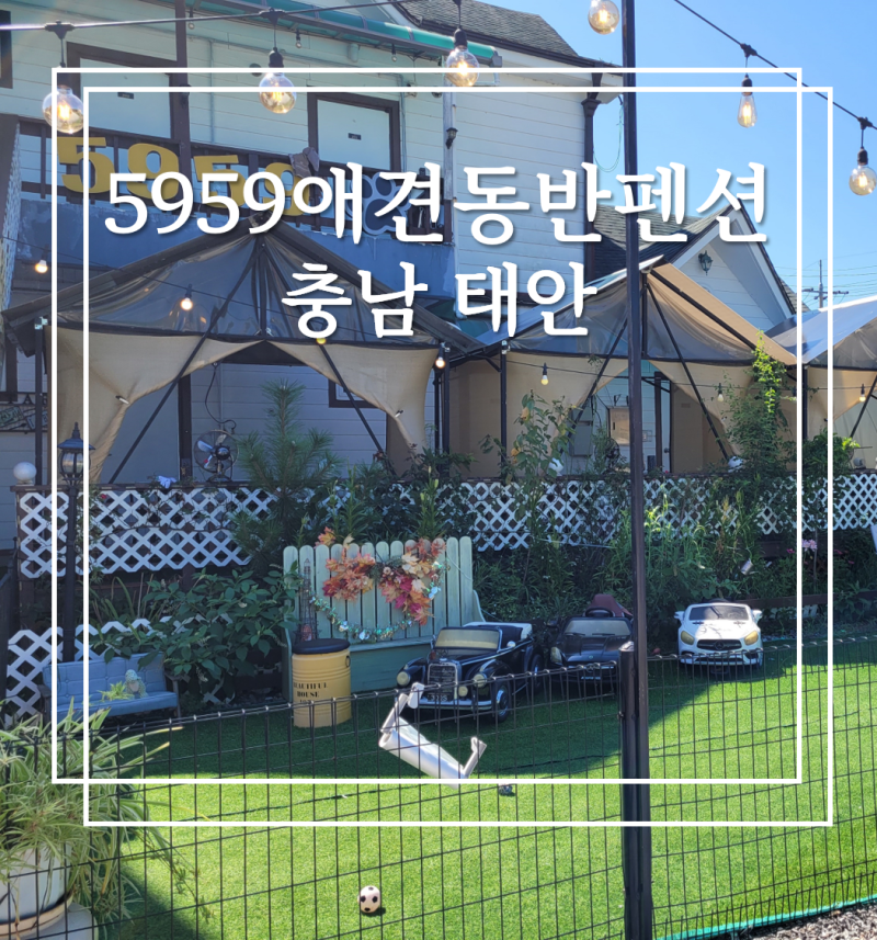 사진 4