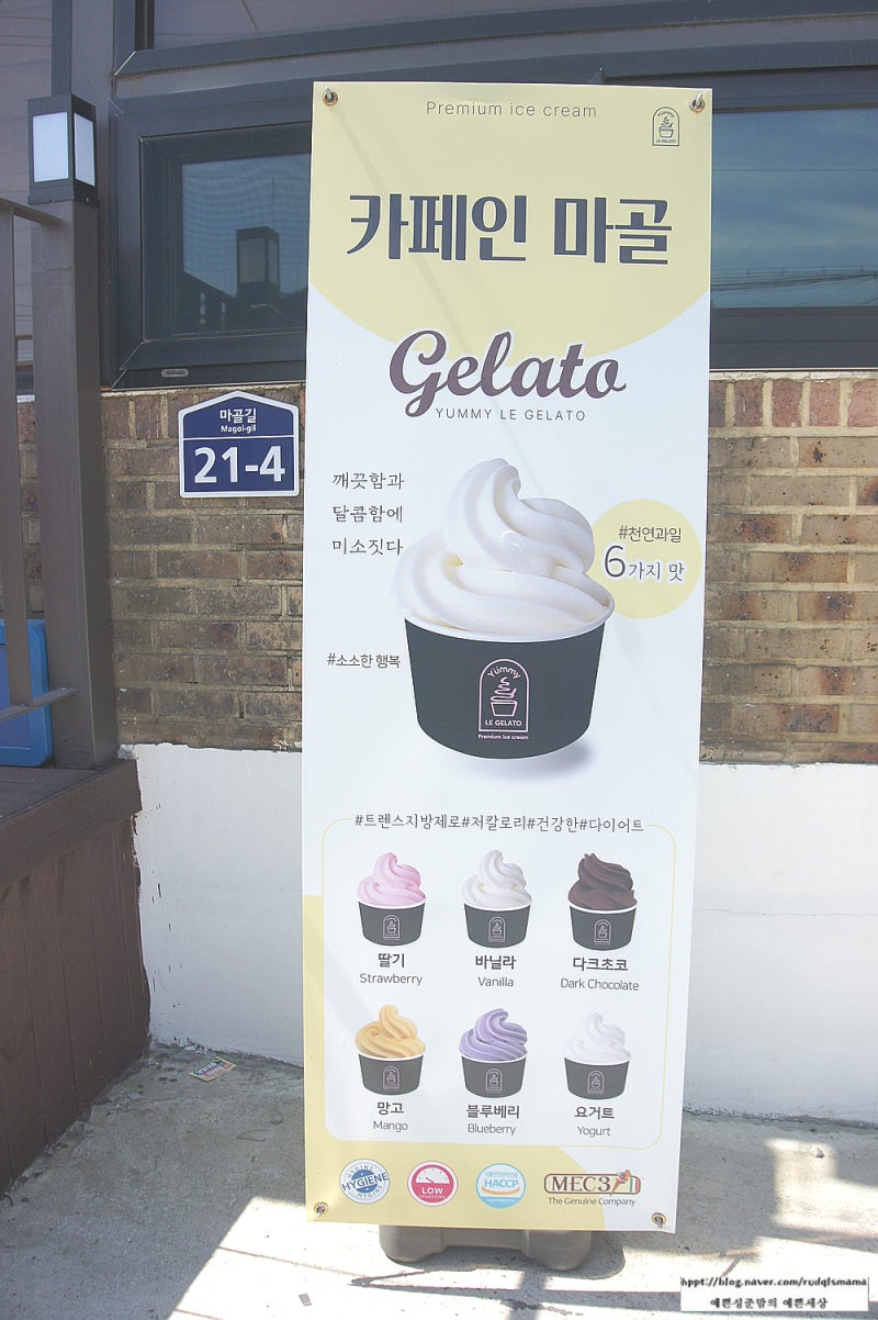 사진 5