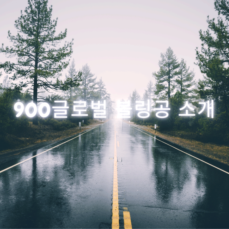  900글로벌 볼링공 소개
