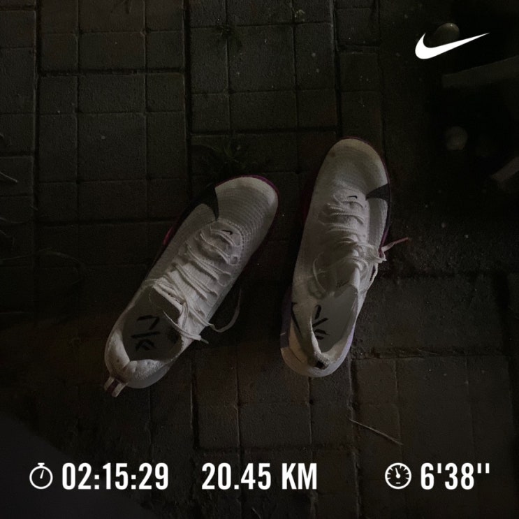  러닝로그_240830 20km GG란