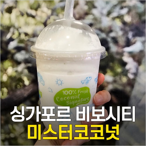 싱가포르 비보시티 맛집 - 미스터코코넛 메뉴 코코넛쉐이크 & 빵집 브레드톡