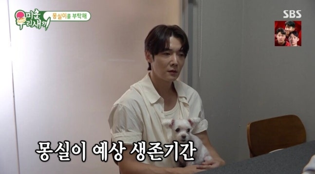 SBS '미운 우리 새끼'에서 최진혁, 반려견 몽실이의 혈관육종 암 진단에 마음 아픈 심경 전해
