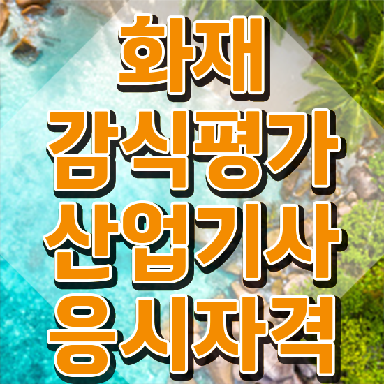  화재감식평가산업기사 자격요건 독학으로 단기간에 준비한 전략