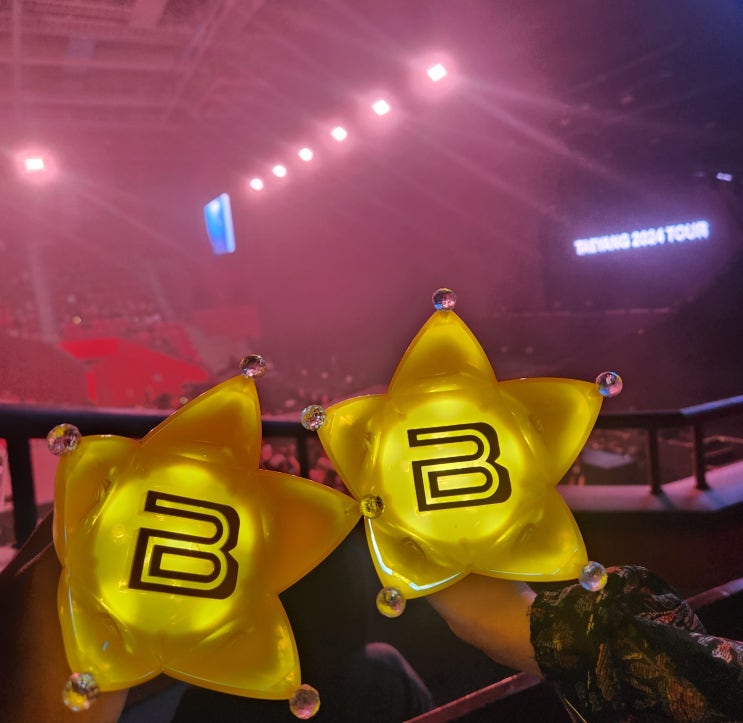 빅뱅 <b>태양콘서트</b> The Light Year... VIP <b>게스트</b> 부석순 극락 후기... 
