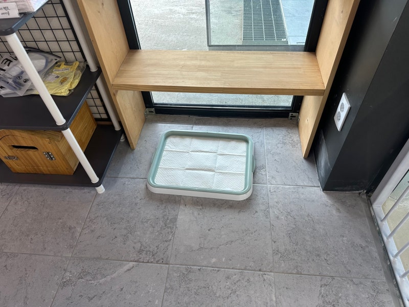 사진 3