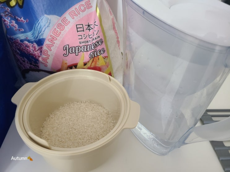  내돈내산 소비일기 : 전자레인지 밥솥 '칼로볼CALO BOWL' 후기
