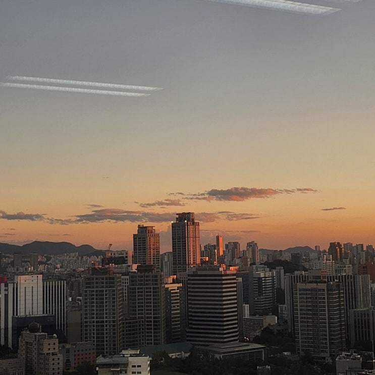  9월엔 국제발신 스팸문자 그만 받고싶어요,, 8월 막주 일상기록
