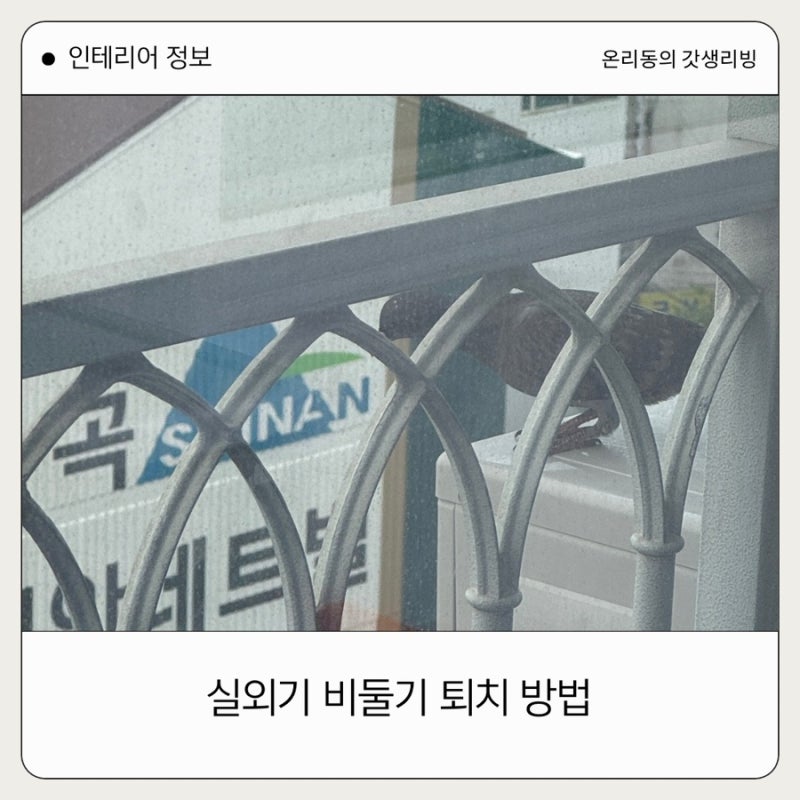 아파트 실외기 비둘기 알 퇴치 다이소 그물망
