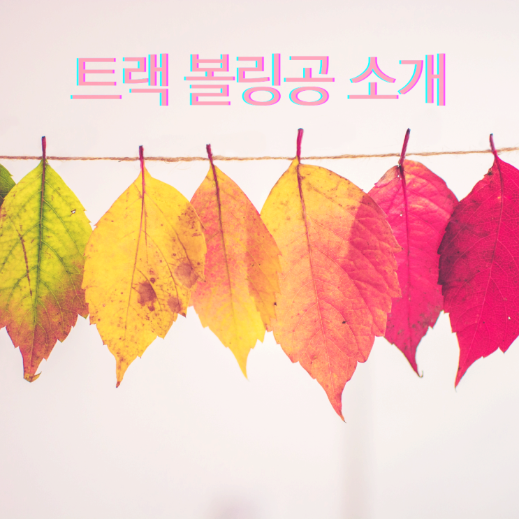  트랙 볼링공 소개