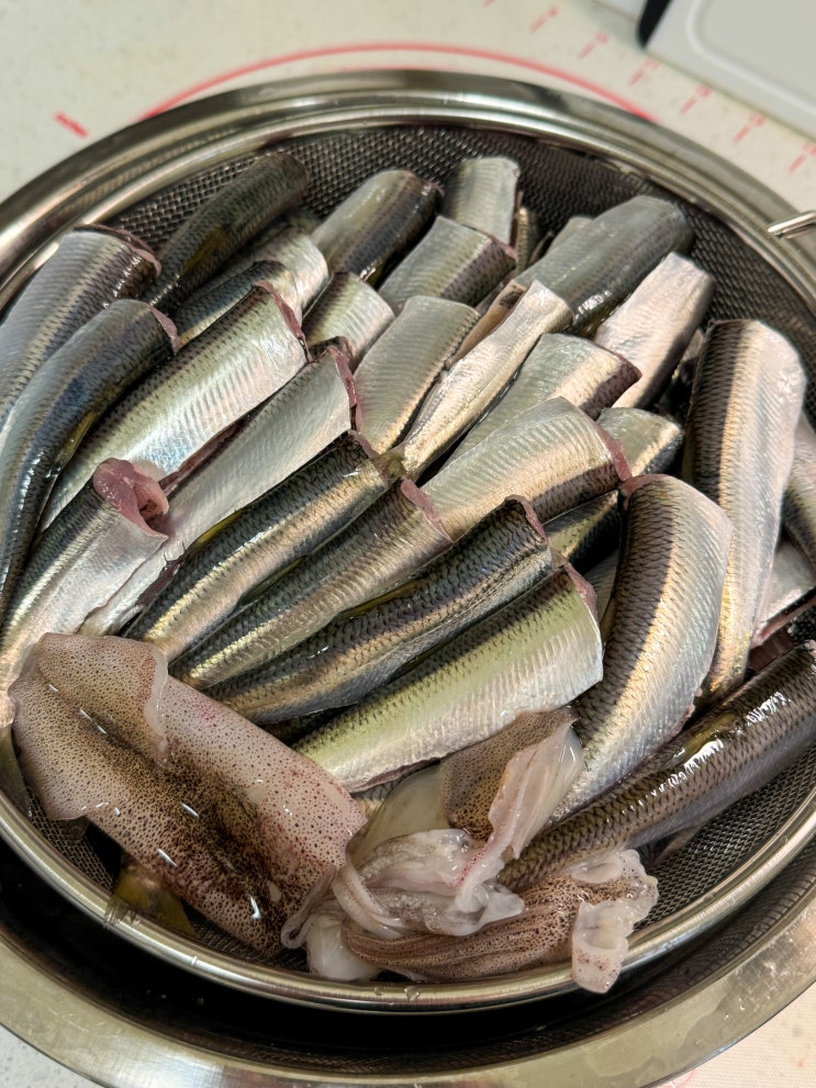  미국에서 하는 청어(Herring) 낚시: 낚시부터 손질까지