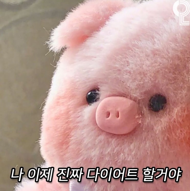  처서매직따위 없었던 8월 마지막 주