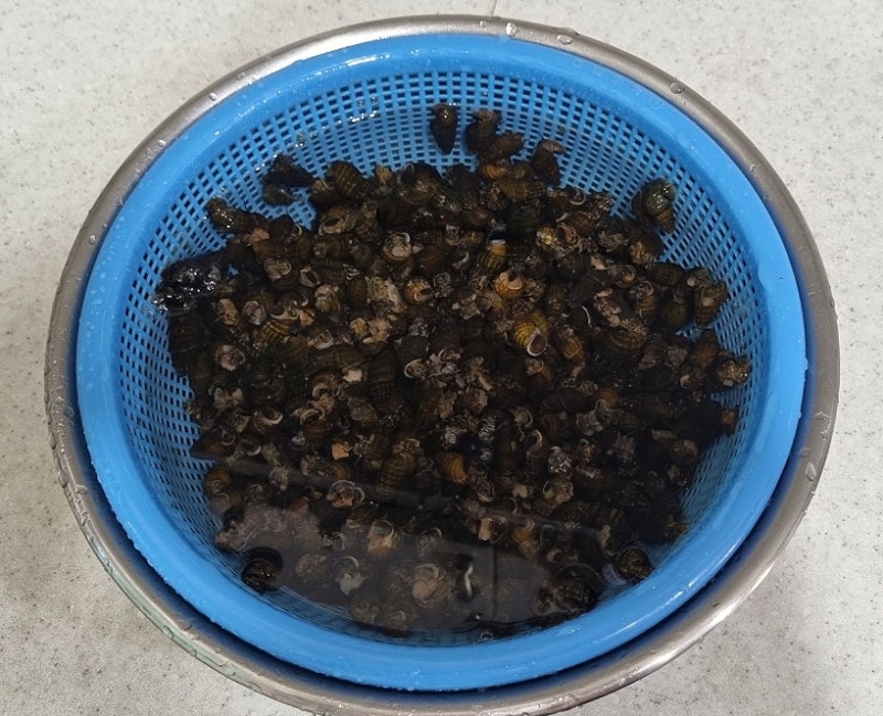 올갱이 손질법, 다슬기 맛있게 삶는 법, 올갱이 해장국 끓이는 법, 다슬기 눈 껍질 제거, 다슬....