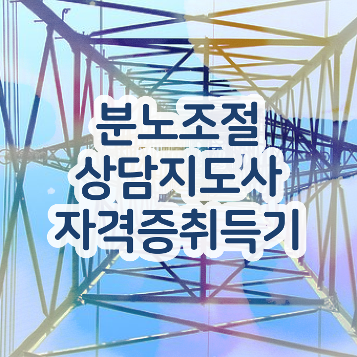  1급분노조절상담지도사인강 분노조절상담지도사 쉽고 간편하게 취득한 방법