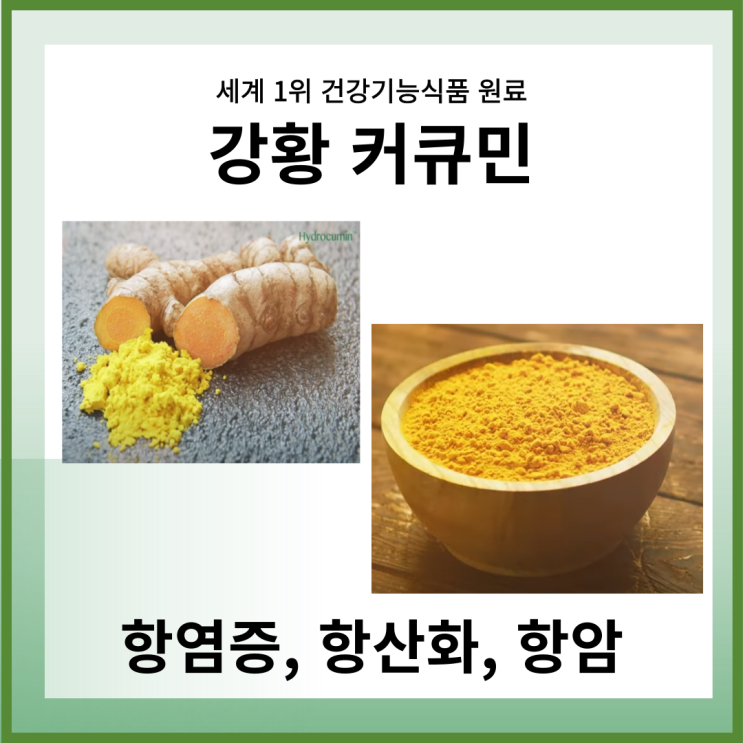  강황 커큐민 항염증 항산화 항암