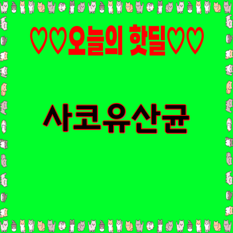 사코 유산균 요거트 스타터 비교분석| 플레인, 그릭, 드링킹, 카스피해 | 요거베리, 사코, 메....