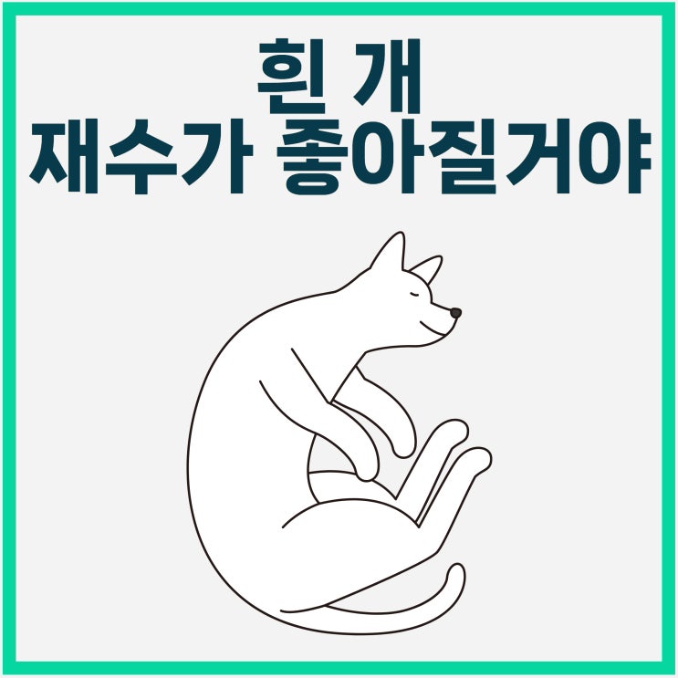  흰 개, 개꿈이 아닌, 재수 좋을 꿈