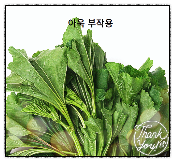  아욱 효능 보관법과 부작용까지