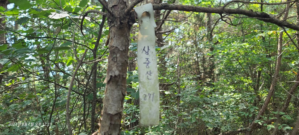 두만산 사진 6