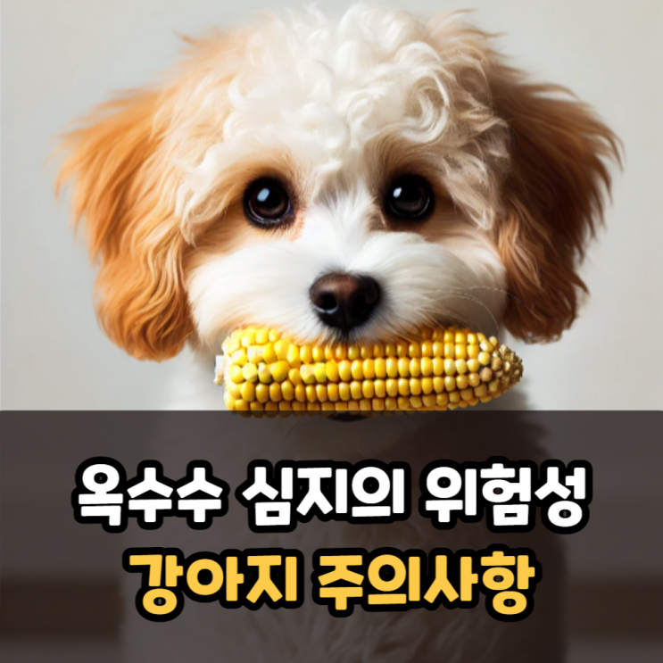  강아지 옥수수 심지의 위험성 나타날 수 있는 증상, 예방법