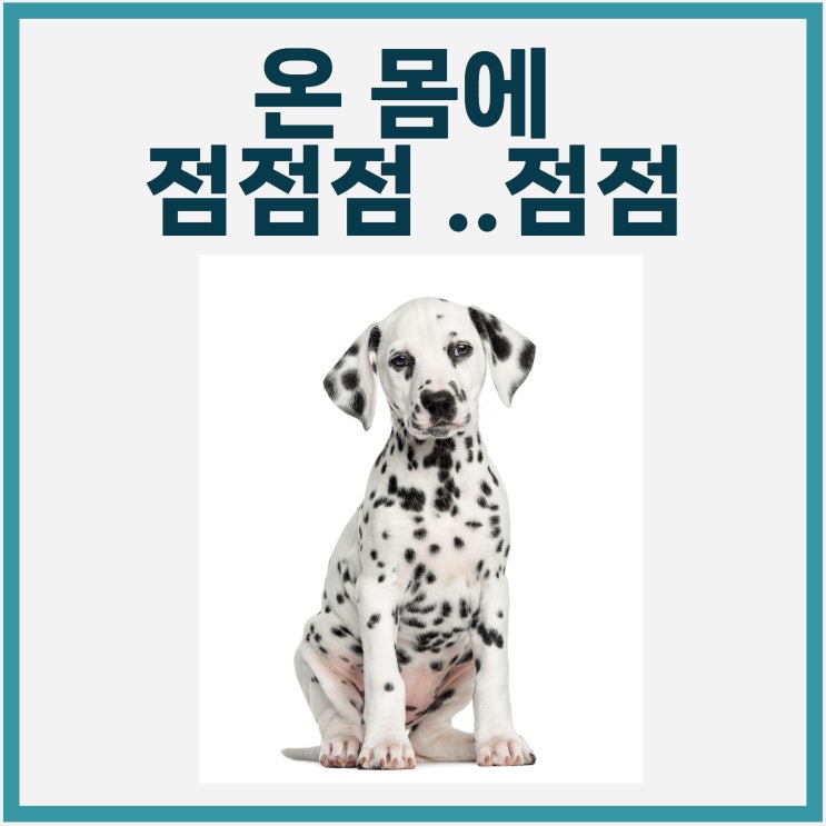  몸에 점, 점점 꿈풀이