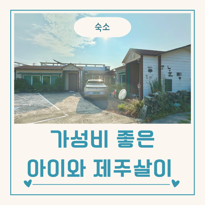 사진 5