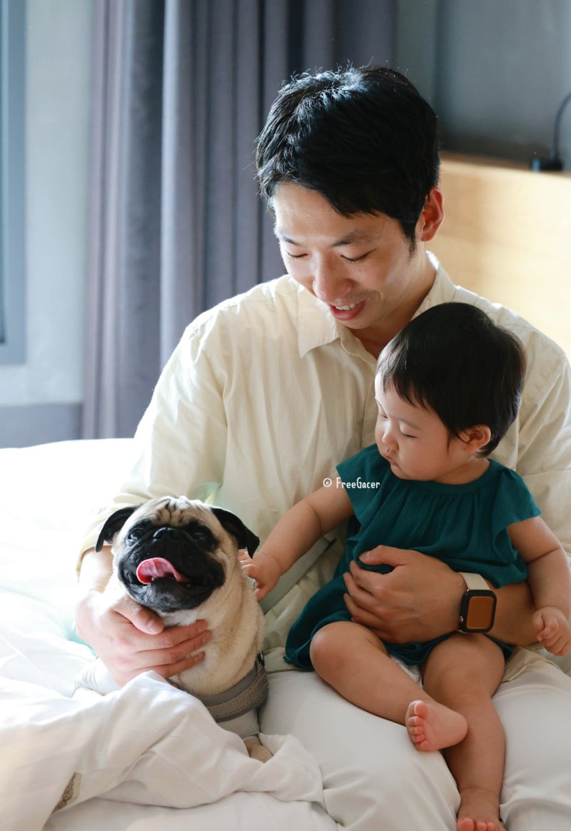 사진 5