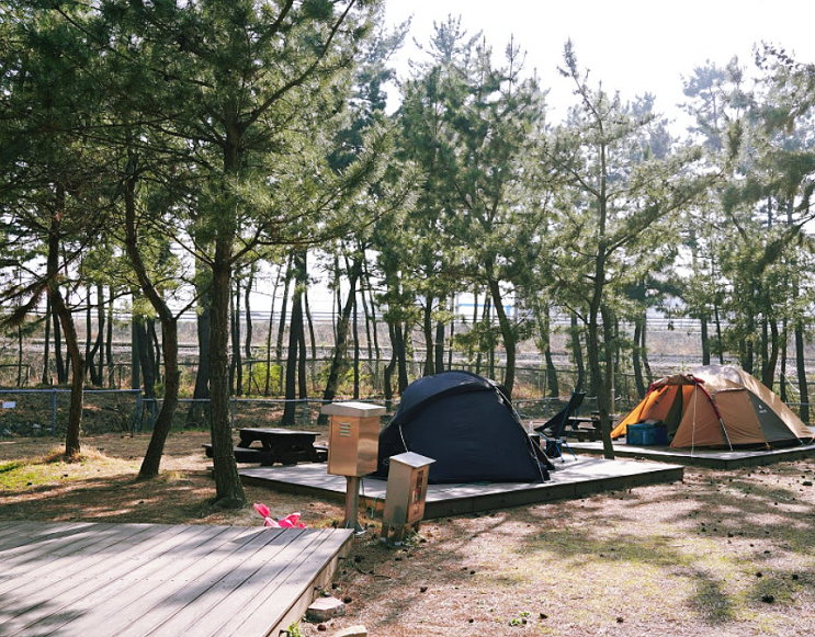  동해시 망상제2오토캠핑장 예약 및 이용방법