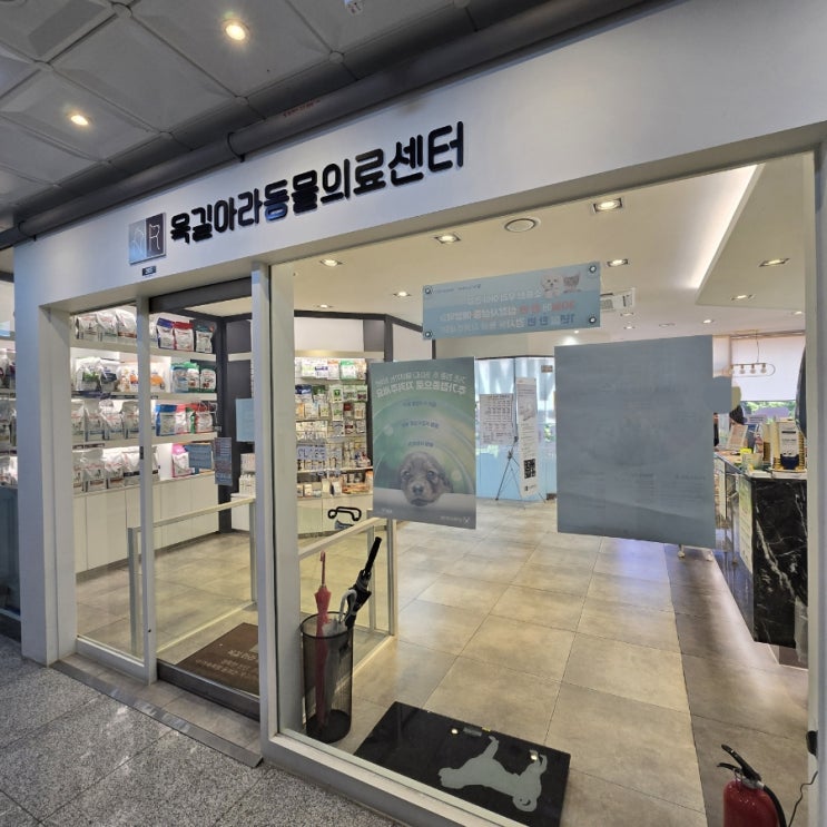  부천동물병원 24시 옥길아라동물의료센터 강아지 건강검진 후기