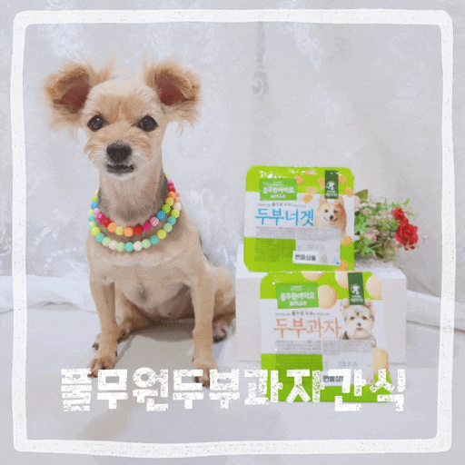  강아지 두부 간식 풀무원 두부 과자 애견간식 추천