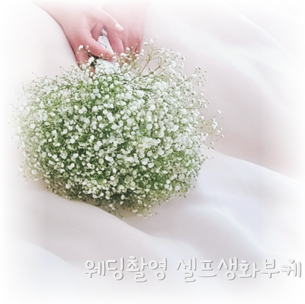  스튜디오 셀프 생화부케 만들기[2] 강남고터꽃시장