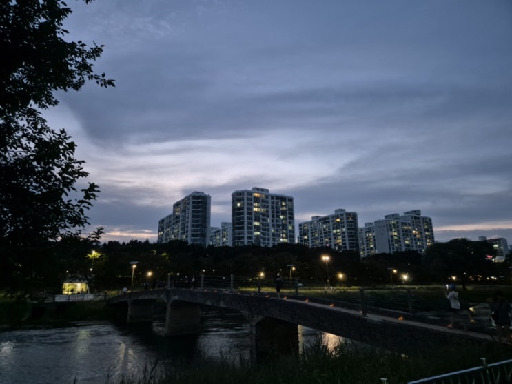 20240901 탄천산책 20240901 탄천산책