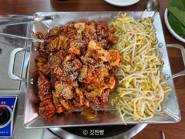  천호맛집 혼밥 가능한 돗가비불쭈꾸미 솔직후기