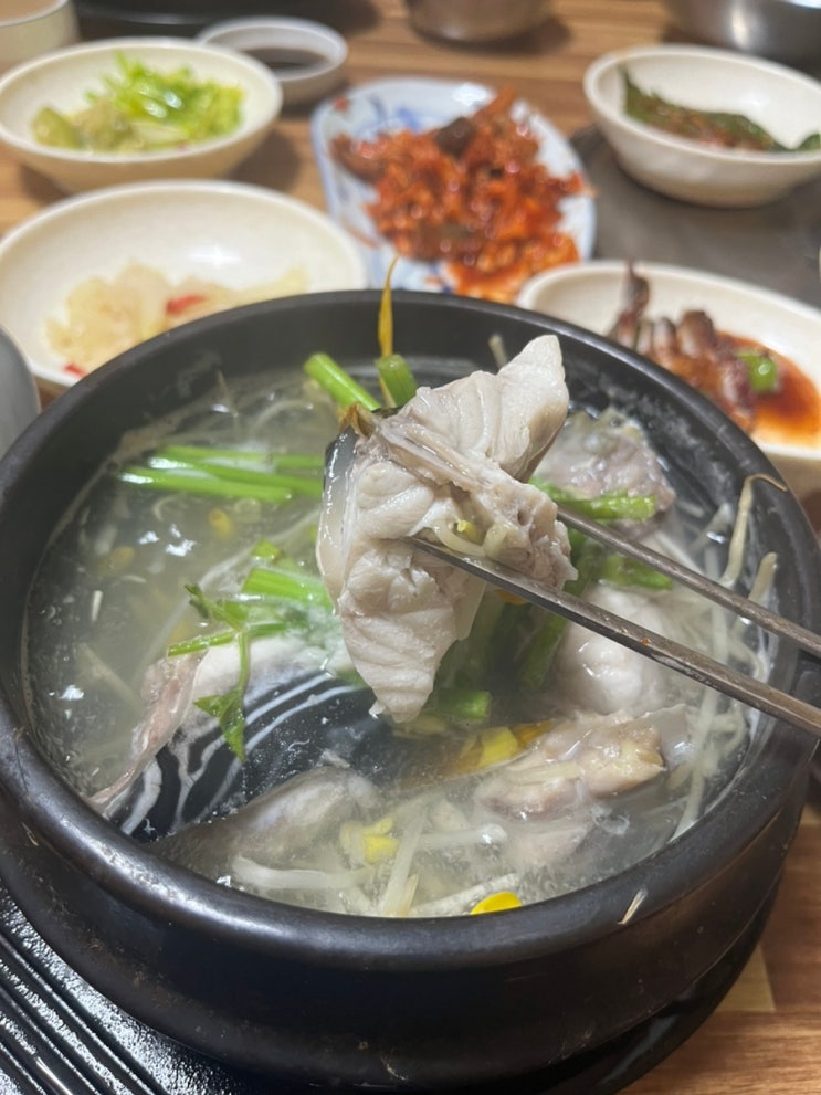  경남 진주 복국 맛집 : [대복집] 전날 술 다 올라오는 해장맛집,,