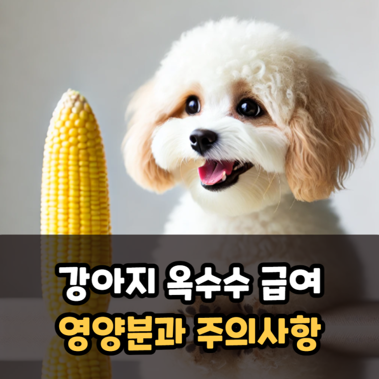  강아지 옥수수 급여와 영양분